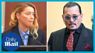 Amber Heard reacts to Johnny Depp giving her a horse