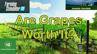 FS 22 How Much For Grapes, on Farming Simulator 22?