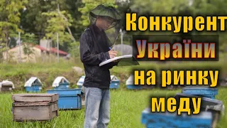 Бджільництво В'єтнаму.  Конкурент України на світовому ринку меду.