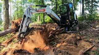 Land Clearing with a Bobcat E50 R2-Series