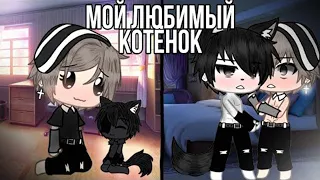 Озвучка яой фильма Мой любимый котёнок ПОЛНОСТЬЮ 1 сезон гача лайф gacha life