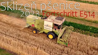☆ Sklizeň pšenice ☆ Fortschritt E514 ☆ 2023 ☆ #agriculture #farming #czech #fortschritt