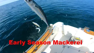 Mackerel, Codling, Whiting, Dogfish - Drifting Over Mixed Ground