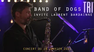Band Of Dogs invite Laurent Bardainne - La VOD du Triton