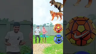 Football to Dinosaur, tiger, rhinoceros & Elephant magic | Animals Names vfx