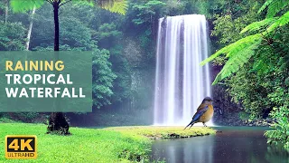 Beautiful Waterfall and Rain Sound for Sleeping🌧️