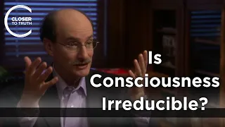 Dean Radin - Is Consciousness Irreducible?