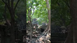 Lost city in the tropical jungle of Asia #short #shorts #ruins