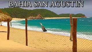 Top Things to Do in BAHÍA SAN AGUSTÍN:  Camping, Fishing, Whale Watching