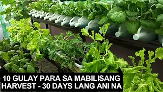 10 GULAY PARA SA MABILISANG HARVEST I 30 DAYS LANG MAAANI MO NA I FAST-GROWING VEGETABLES