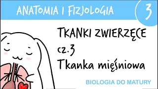 Tkanki zwierzęce cz.3 - Mięśniowa - Anatomia i fizjologia 3 - matura z biologii rozszerzona