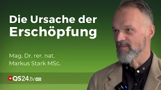 Nebennierenschwäche - grundlos energielos gibt es nicht | Dr. rer. nat. Markus Stark MSc. | QS24