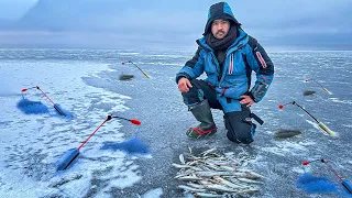 ПОСТАВИЛ УДОЧКИ НА КОРЮШКУ И ДЕЛО ПОШЛО! ЗИМНЯЯ ЛОВЛЯ КОРЮШКИ НА ФИНСКОМ ЗАЛИВЕ