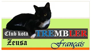 Скарбничка дієслів - TREMBLER.  / французька мова  / Français: les verbes / French verb "trembler"