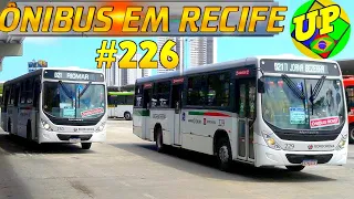 #226 Ônibus na Joana Bezerra - Movimentação de ônibus no Recife