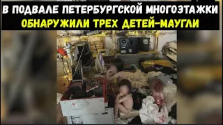 В подвале петербургской многоэтажки обнаружили трех детей-маугли