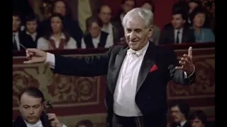 Schumann: Symphony nº 4 - Leonard Bernstein - Wiener Philharmoniker Orchestre