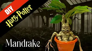 ⚡️Harry Potter DIY: Mandrake