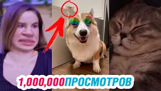 ЭТИ ВИДЕО НАБРАЛИ МИЛЛИОН ПРОСМОТРОВ в TIK TOK | ЛУЧШИЕ ТИК ТОК ПРИКОЛЫ АВГУСТ 2019