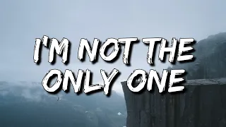 Sam Smith - I'm Not The Only One (Lyrics) [4k]