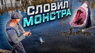 ЩУКА ДИКИЙ ЖОР‼️ Не ожидал что в этой луже столько рыбы‼️