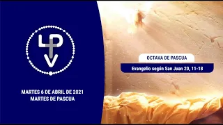 Evangelio del día martes 6 de abril de 2021, P. Fray Jorge Presentado, ocd