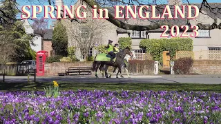 Spring in North-West England - early March 2023