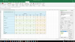 OfficeReports Pivot Tables