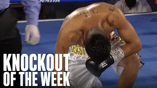 Jahi Tucker's Nasty Body Shot KO of Rodriguez | KO OF THE WEEK | Tucker Returns Jan 15  ESPN & ESPN+