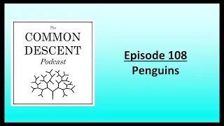 Episode 108 -  Penguins