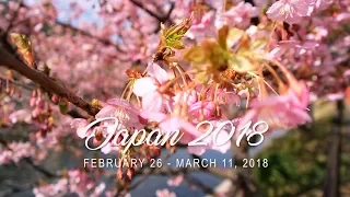 Japan Solo Travel 2018 | The country that inspired me to draw