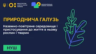 Природнича галузь. Наземно-повітряне середовище і пристосування до життя в ньому рослин і тварин