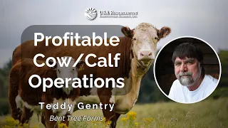 Teddy Gentry's Guide to Profitable Cow/Calf Operations