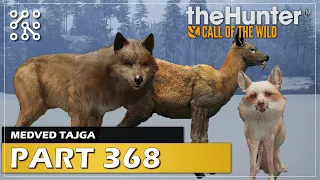 Moje TOP úlovky 2023 | theHunter: Call of the wild CZ |  Česky