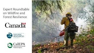 Expert Roundtable on Wildfire and Forest Resilience