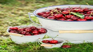 Рецепт вкусного домашнего вина из вишни( часть 1)