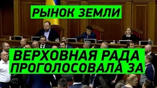 СРОЧНО! Верховная Рада приняла закон о продаже земли