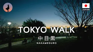 Пішохідна екскурсія по Японії | Вечірня прогулянка Накамегуро в Токіо | 4K