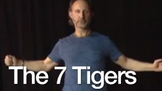 Healing Essence Total Life Cleanse: Sadhana~The 7 Tigers +