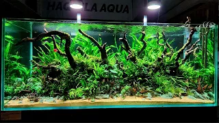 Weekaqua  T70  High Performance led aquarium ligh