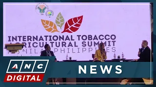 Nat’l Tobacco Administration: P16-B in revenue lost due to illicit tobacco trade so far 2023 | ANC