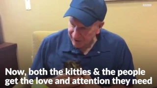 Orphan Kittens Help at Assisted Living Home