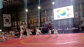 Gta cup sudamérica taekwondo champion ship