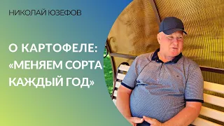 «Меняем сорта каждый год»: рентабельность картофеля при ценовых качелях