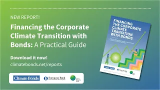 Financing the Corporate Climate Transition with Bonds: A Practical Guide