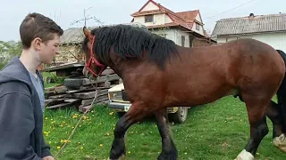 ПЕРШЕ ВІДЕО НАШОГО КАНАЛУ👍📢 ПІДПИСУЙТЕСЬ НА КАНАЛ БУДЕ ЦІКАВО.