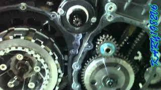 TIGER 1050 CLUTCH REPAIR