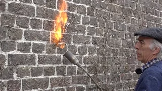 Removing Ivy from walls, here is how I do it