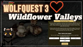 LUCK is upon the VALLEYPACK! WILDFLOWER VALLEYS #5 - WOLFQUEST 3