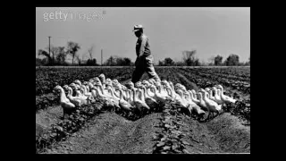 Ted Gossett's Band Wild Geese (1930)